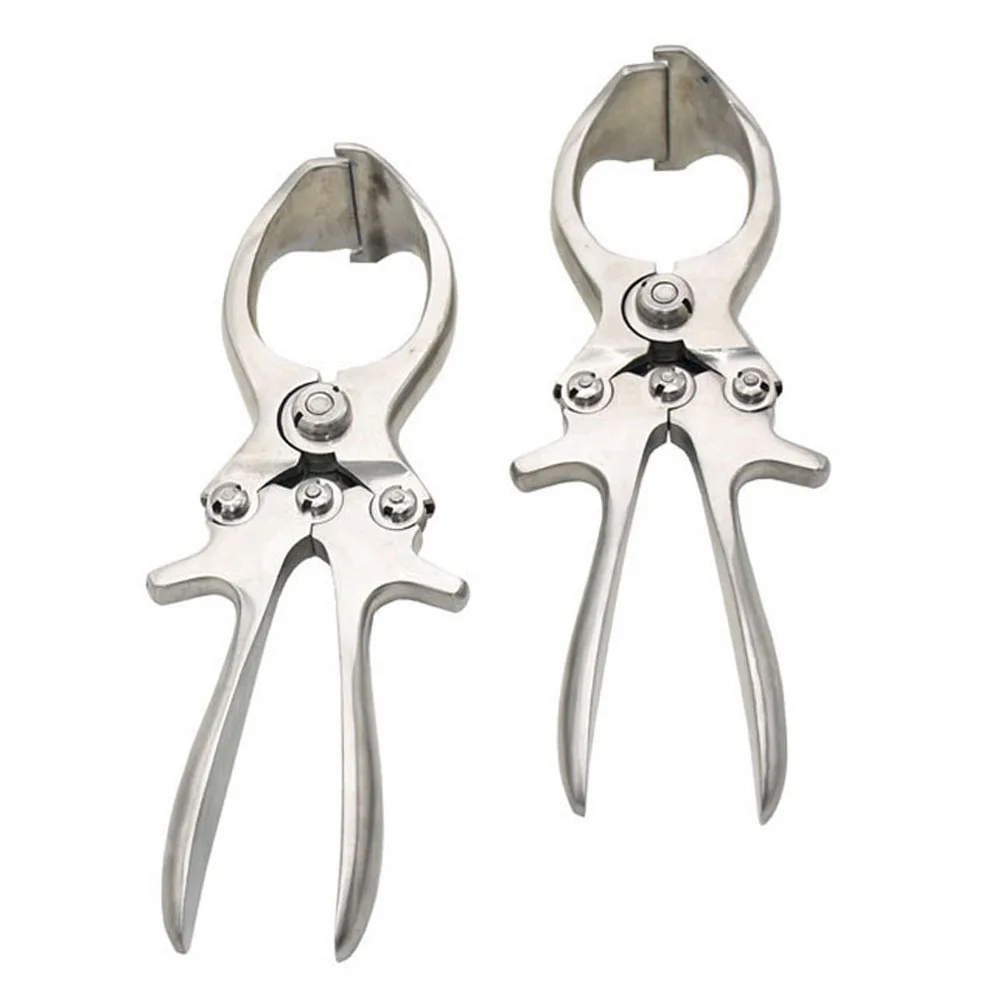 

2 Pcs Stainless Steel Without Blood Pig Sheep Castration Clamp Castration Tool Castration Forceps Veterinary Special Tools