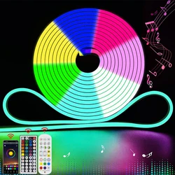 1/2/3/4/5M Tuya Wifi LED Neon Light Dimmable 12V Multicolor Neon Strip Music APP Control RGB Tape Ribbon Waterproof For Home