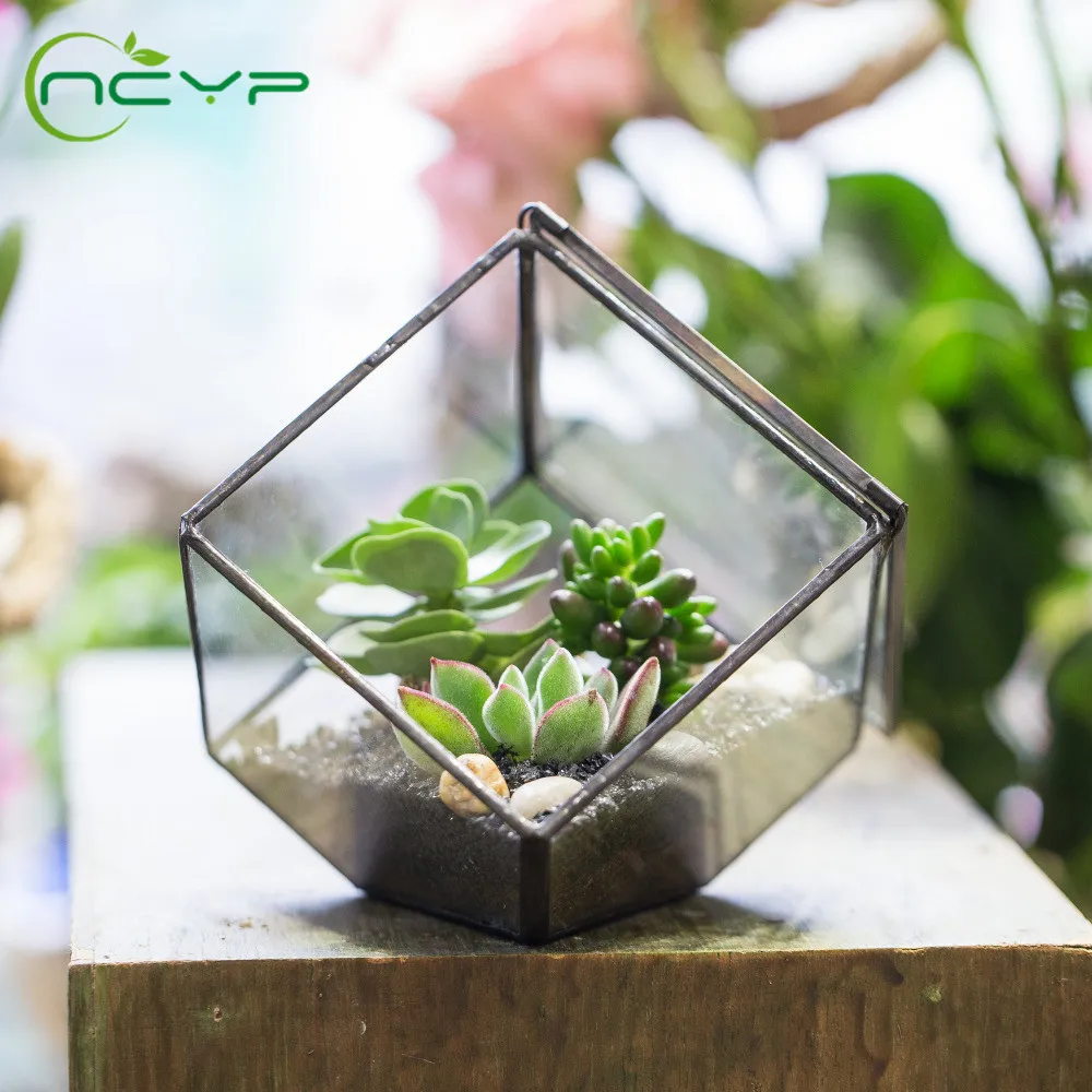 

NCYP Square Geometric Glass Flower Pot Cube Glass Terrarium Succulent Flowerpot with Swing Lid Home Decor for Displaying