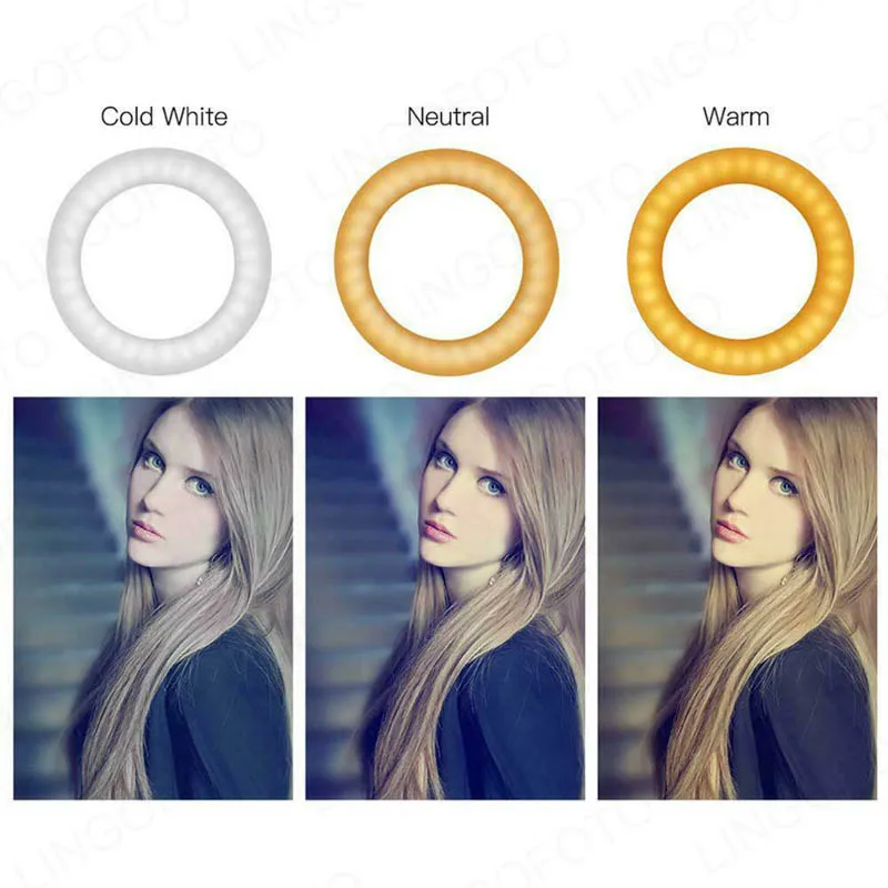 16cm 6 "6 pollici Live Stream dimmerabile LED Ring Light con 1/4" testa a sfera treppiede per fotocamera Studio Selfie fotografia foto