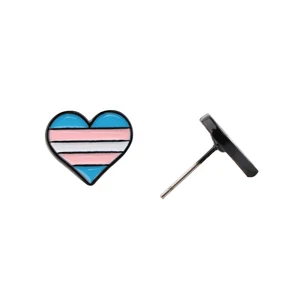 Transgender Bogenflagge Pride LGBT Liebhaber Herzstichstöckchen Gefangenen Jobs für Frauen Geschenk Edelstahl -Ohrring 6 Hauptverkaufs -Ohrring -Stolz LGBT - №5