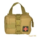 Type2 DE