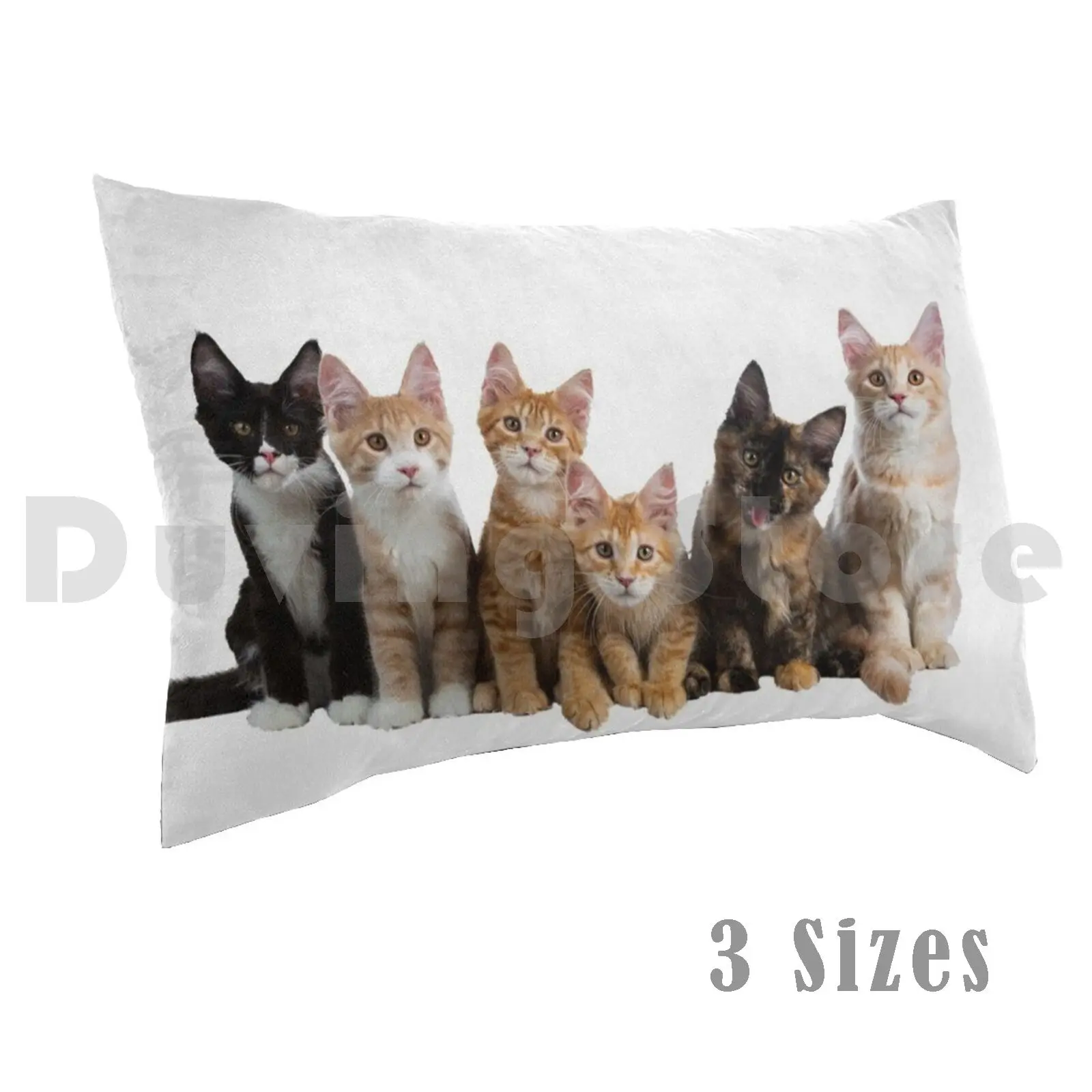 Dream Team Pillow case Cat Cats Cats Persian Domestic Wild Colorful Black White Yellow On A Tree