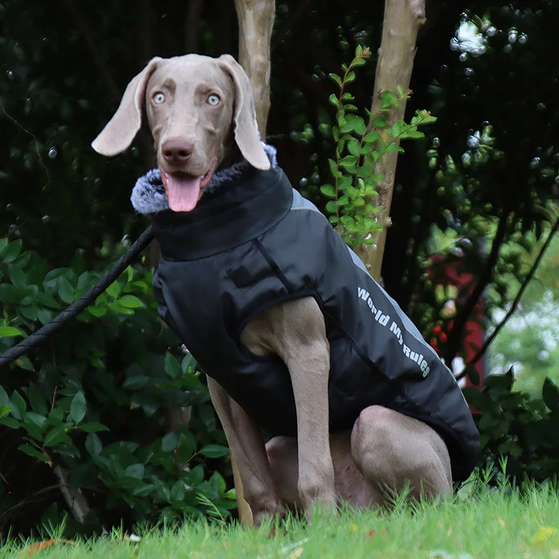 Winter wasserdichter Hundemantel, warme Haustier-Pelzkragenjacke mit abnehmbarem Geschirr, große Hundekleidung, Bulldoggen-Outfit, Labrador-Kostüme – Detail 15