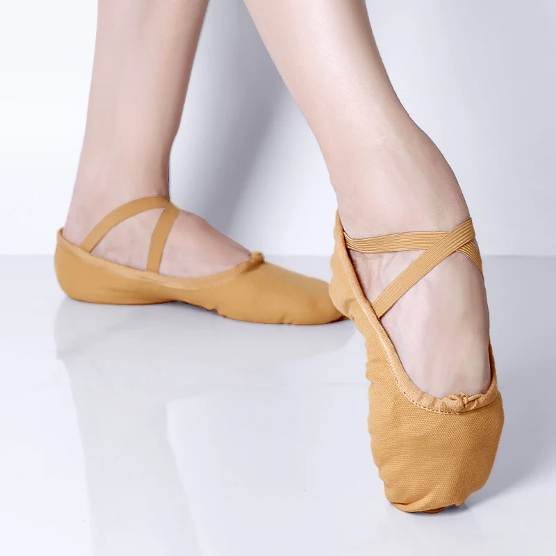 Professional Ballet Dance Shoes Canvas Ballet Slippers Girls Women Ballerina Ballet Flats Dance Shoes