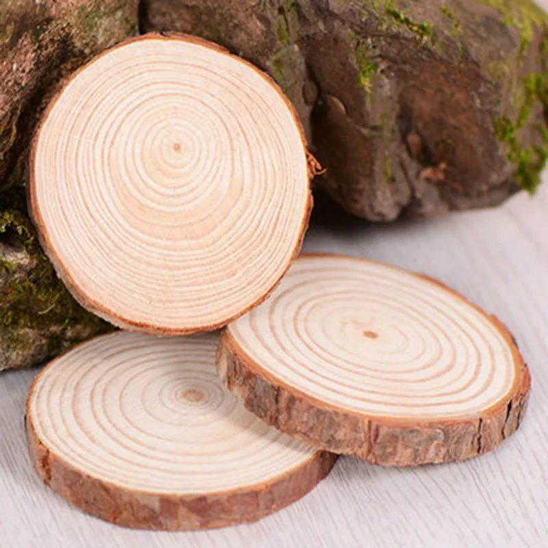 Unfinished Natural Round Wood Slices Circles Tree Bark Log Discs For DIY Crafts Painting Decoration