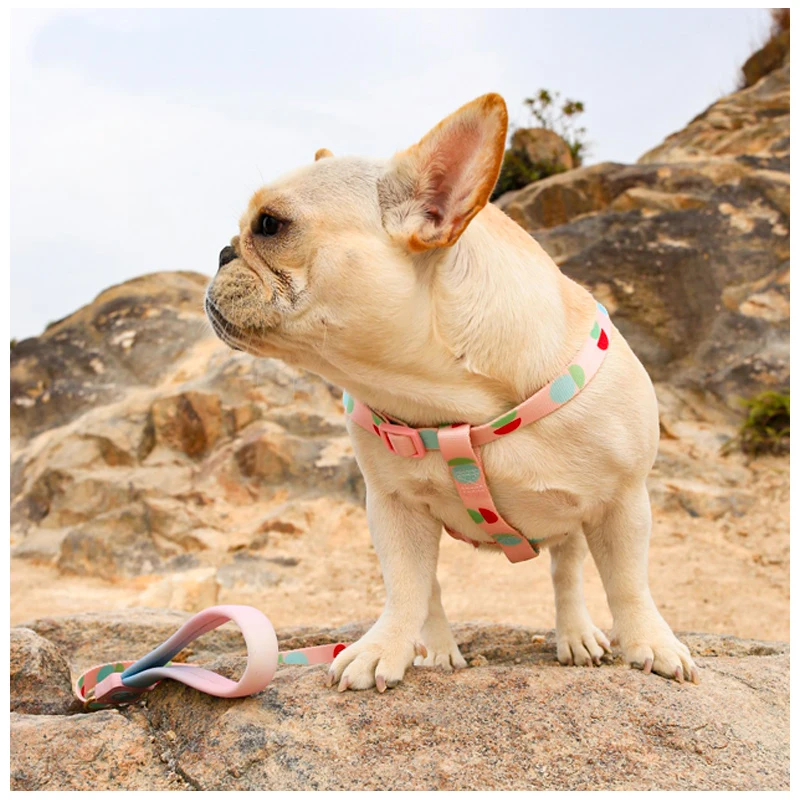 Pets Shop French Bulldog Accessories Choker Neck Semicircle Pattern Collars Leashes Dogs Belt Strap Breast-band Small Harness