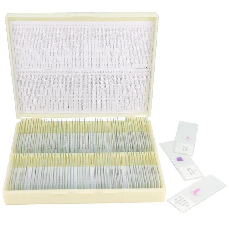 Microscópio Biológico Slides For School Lab Fatia de Vidro Preparada Seções de Tecido Humano Histologia Espécime Educacional 100 Pcs por Caixa