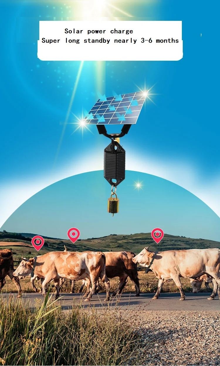 RYDB39-gps rastreador Solar gsm para ganado, dispositivo para prevención de robo de Collar, control de agua, precio