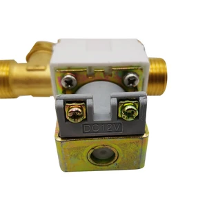 1PCS G1/2 Elektrische Bruder Soolnoidalventilventil Ventil des Wasserhörers automatisch und Buchstabendruck 12V 24 V 220 V DN15 6 Hauptverkaufsventil Caldeira - №6