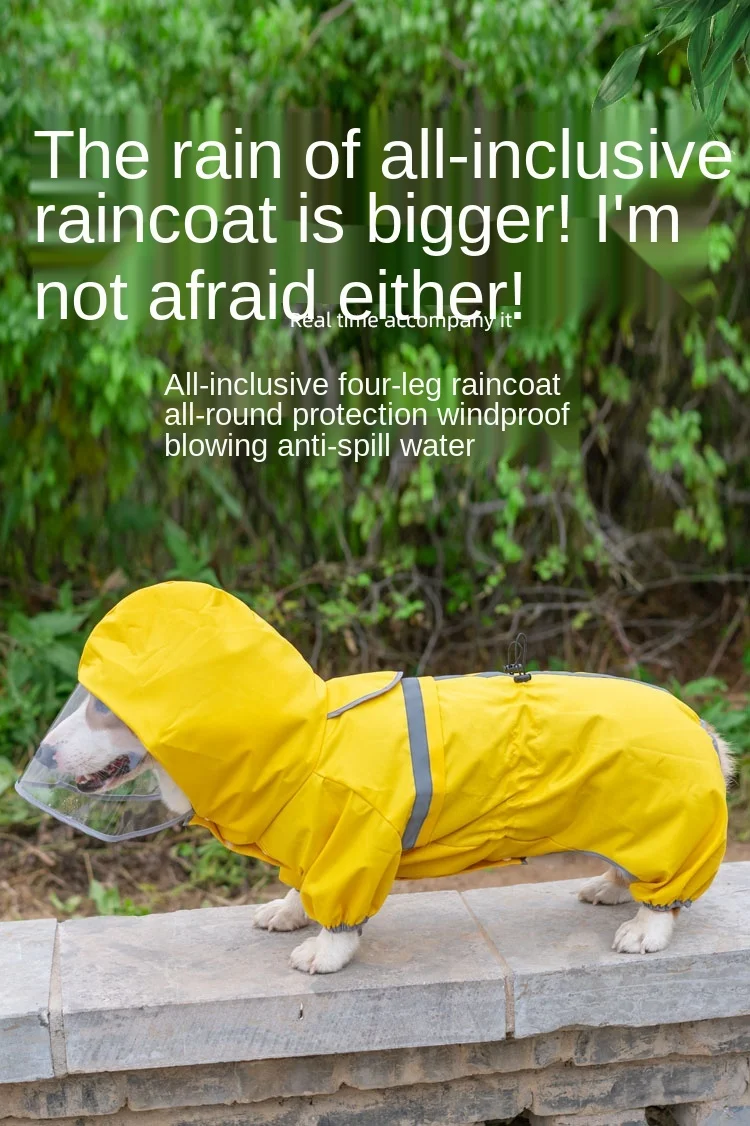 zq Corgi Raincoat Four-Legged Waterproof Dog Clothes Summer Vest Medium-Sized Dog Jarre Aero Bull Thin Free Shipping