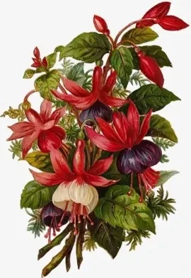 

Букет цветов наборы для вышивки крестом рукоделие 14CT без печати вышивка высшего качества DIY украшения ручной работы