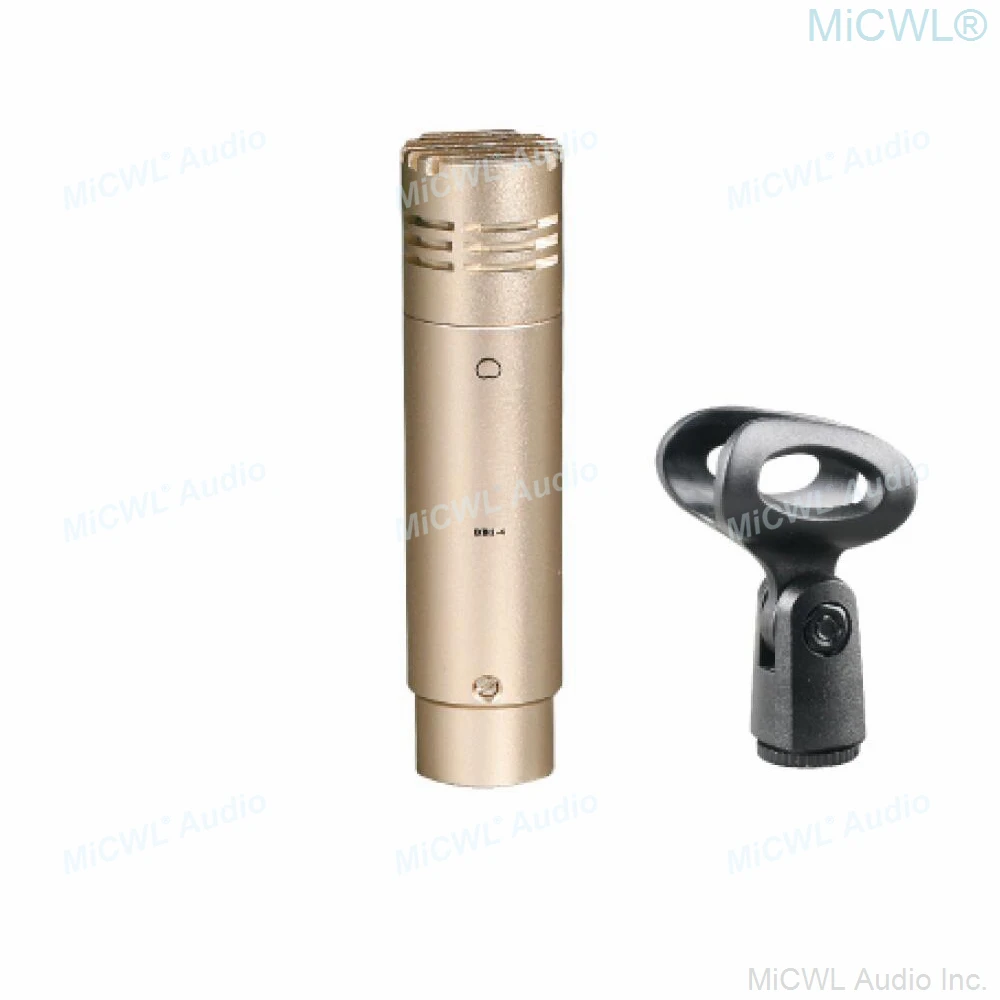 Chuyên Nghiệp Cuộc Phỏng Vấn Bài Diễn Văn Nói Tiếng Micro Thu Âm Nhạc Cụ Treo Bút Mic Vàng Đen Màu Sắc Bộ Sản Phẩm