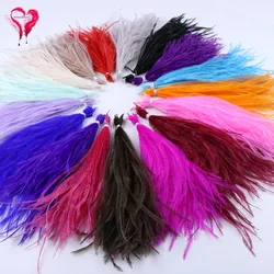 1Bundle Dyeing Ostrich Feathers Tassel Silk Dress Clothes Sewing Accessories Real Ostrich Plume Decoration Jewelry Making Crafts