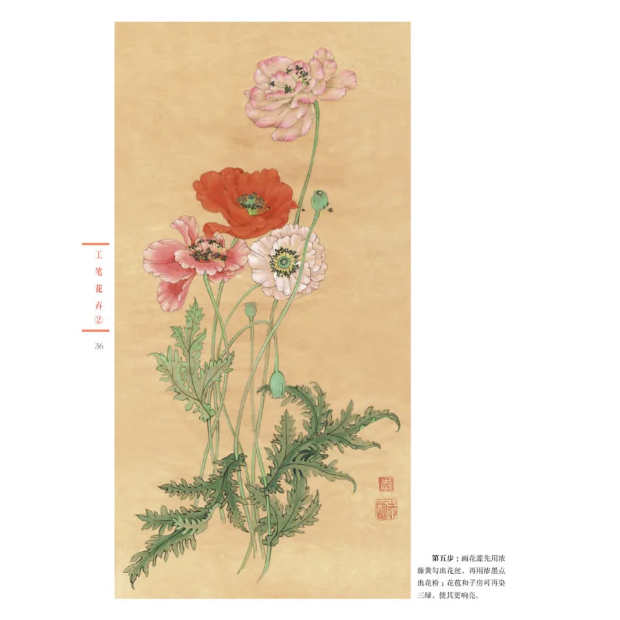 Gong BI – livre de dessin traditionnel chinois pour débutants, peinture de fleurs