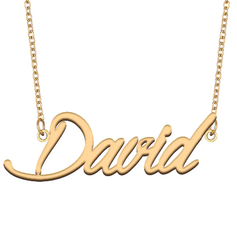 David Nameplate Necklace for Women Stainless Steel Jewelry Gold Plated Name Chain Pendant Femme Mothers Girlfriend Gift