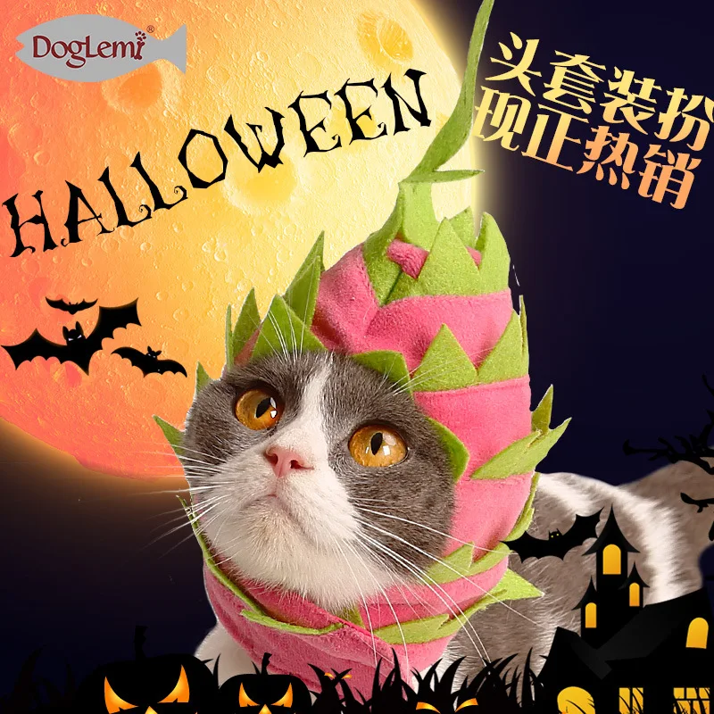 Modelling of pitaya pet head cat dog with fruit turns into a hat scarf Halloween party supplies