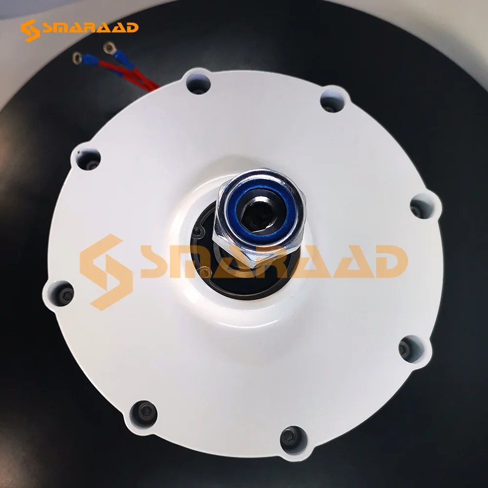 Ac Turbine12V 24V Gearless Permanent New Practical Low Wind Speed Starting Three Phase Motor 500W 600W 800W SummrPower Generator