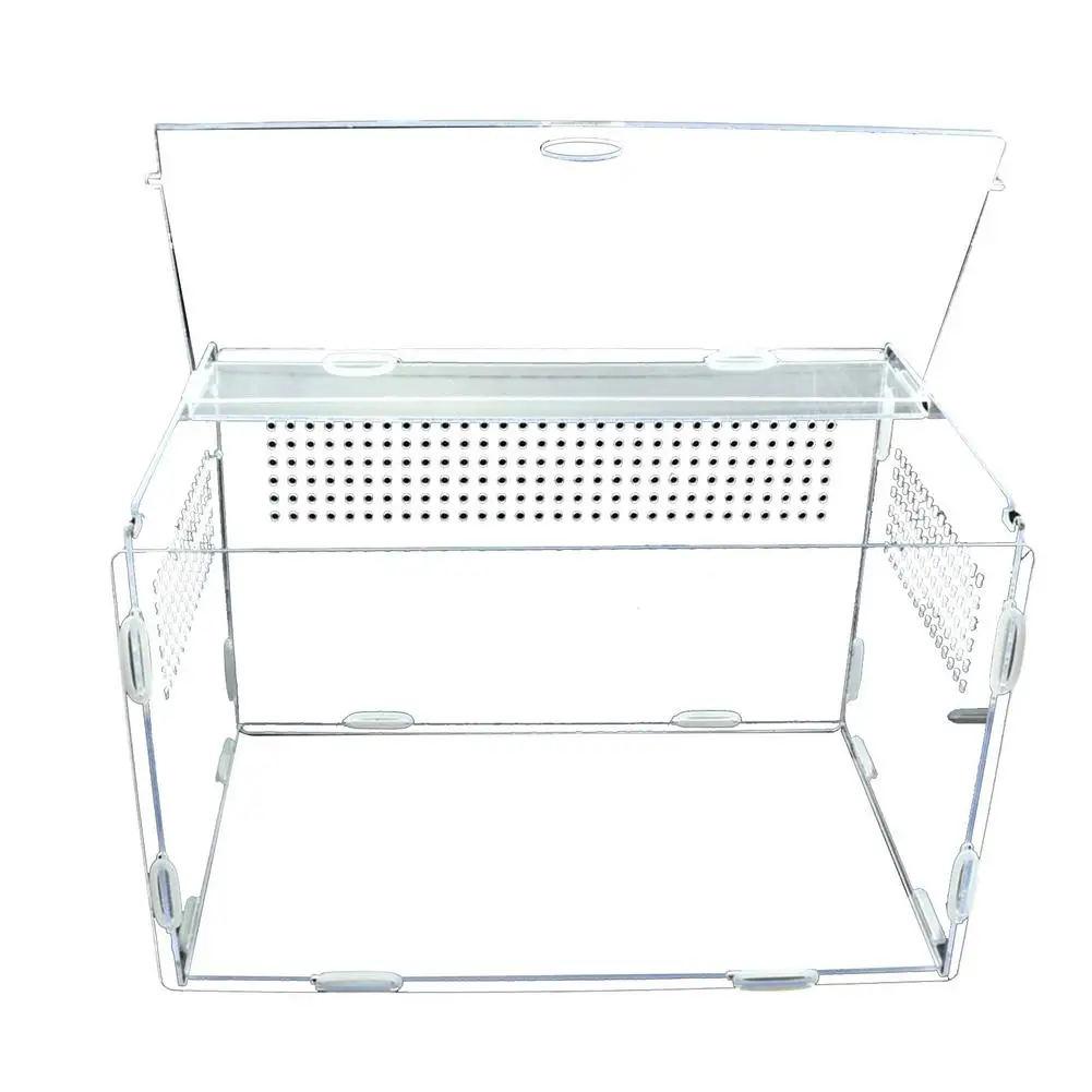 Reptile Breeding Box Transparent Acrylic Feeding Box Clamshell Opening For Spider Lizard Frog Cricket Turtle (No Landscaping)