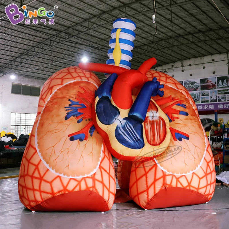 Vivid 4.5x3.5x4.5 Meters Inflatable Lungs Model Balloon For Education Showing / Blow Up Cardiopulmonary Tunnel - BG-H0002-2