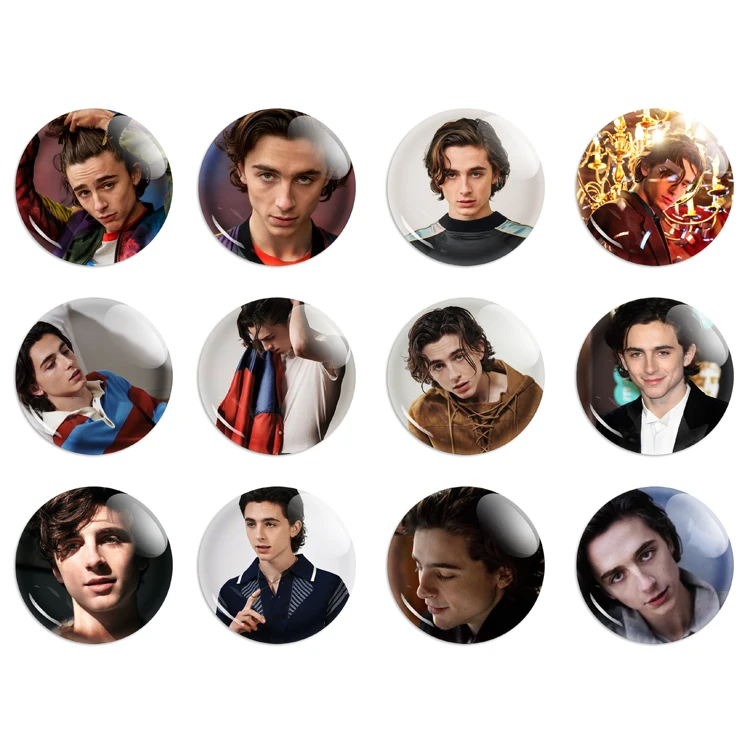 12 PCS Timothée Chalamet Photos Badge Brooch Ornaments Insignia Picture Badge Christmas New Year Birthday Gift