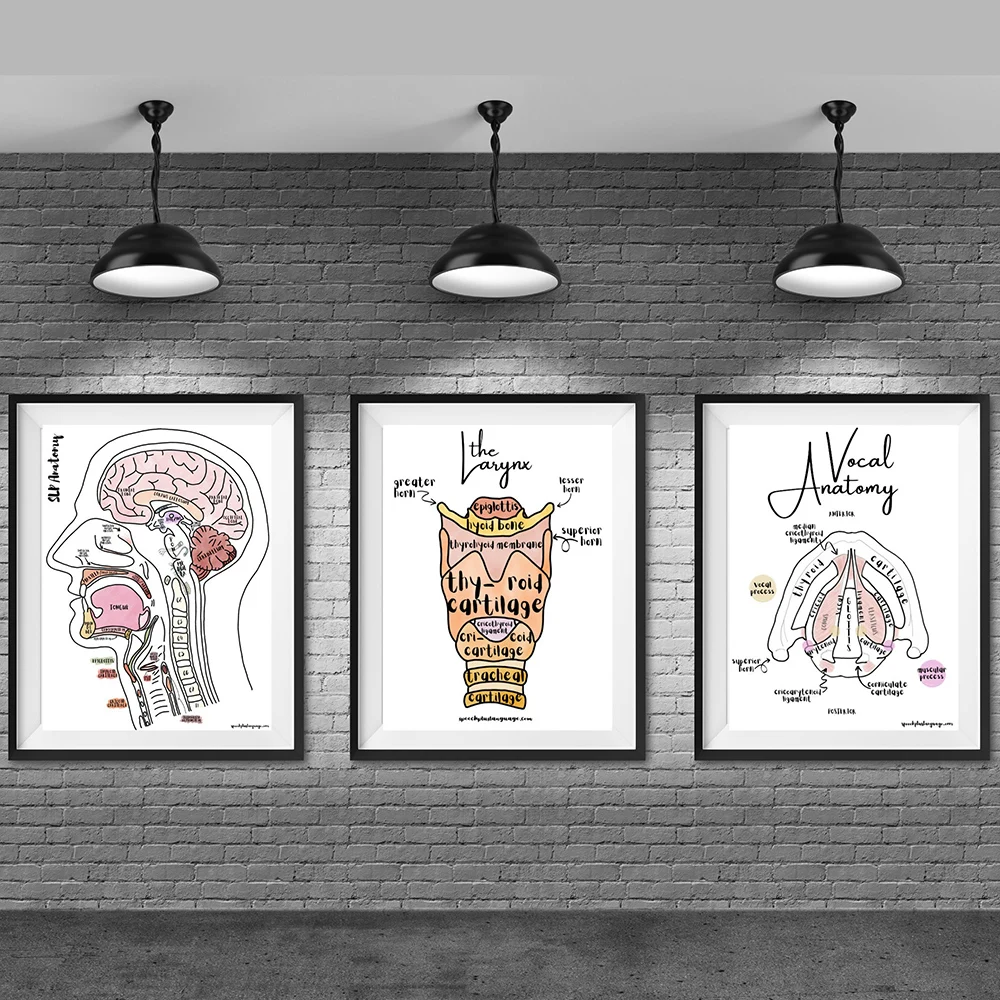 Human And Head Brain Vocal Anatomy Poster Vintage Print Neuroscience Physiology Wall Art Pictures Doctors Office Home Decoration