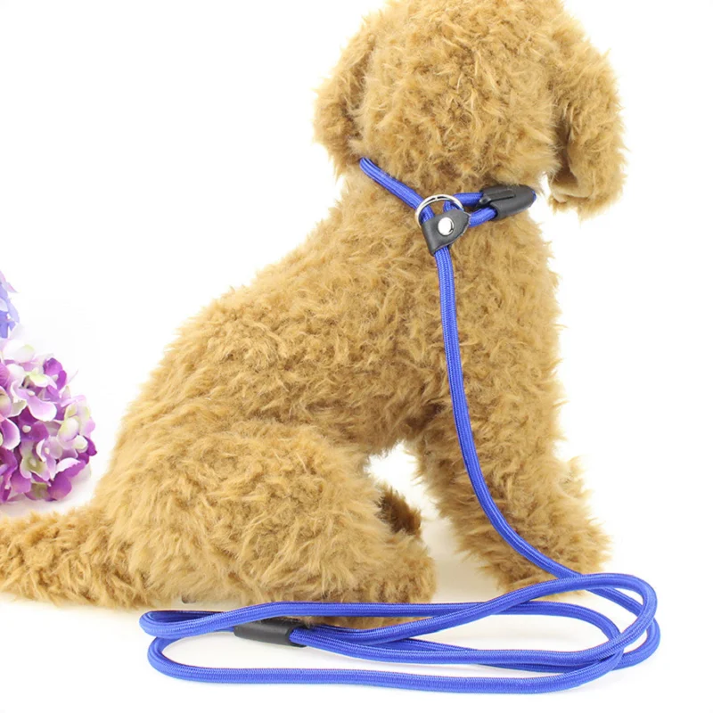 

Pet Traction Nylon Rope for Medium and Large Dogs Explosion-proof Okinawa Hand Leash