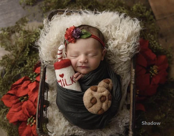 Accesorios de fotografía para recién nacidos, accesorios de fieltro de lana, Mini biberón de juguete y galletas, decoraciones para fotos de bebés, accesorios para sesión infantil