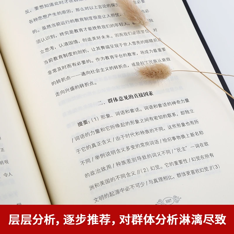 New Chinese Book The Crowd Introduction to Everyone Psychology Interpersonal Communication