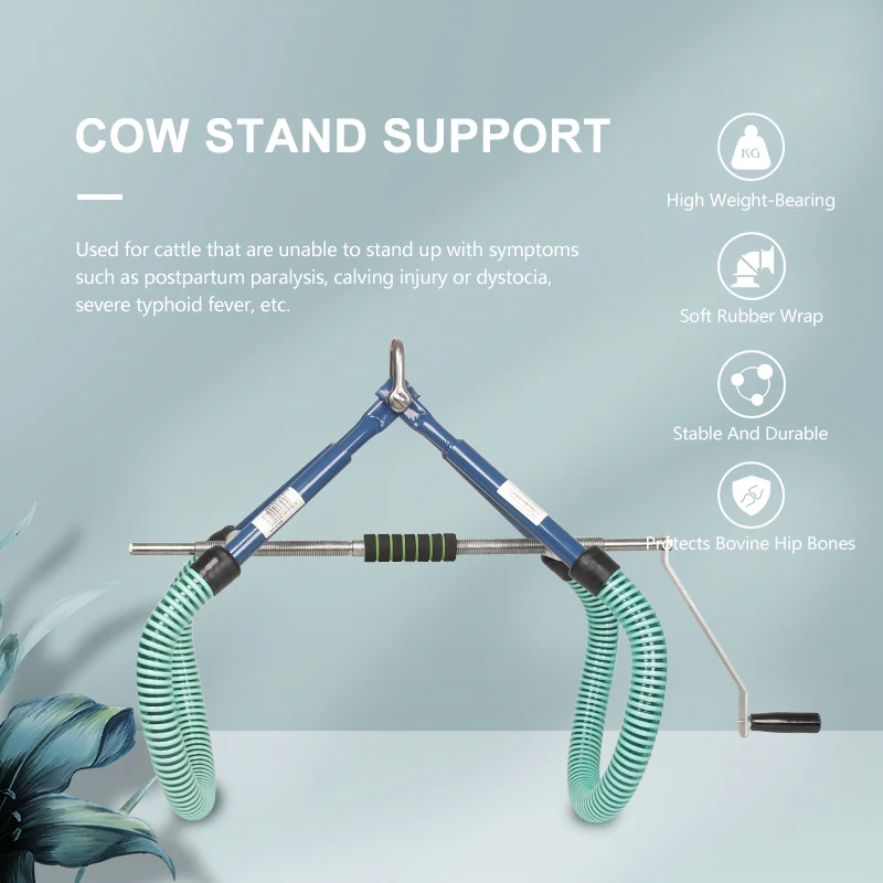 Cow Hip Lifter Assisting Cow Into Standing Dairy Hip Lifter Cow Lifting Device