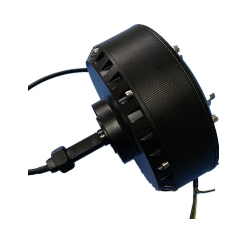 48V/60V Brushless DC Motor 2000W High Power Unilateral Shaft Hub Motor Golf Cart Motor