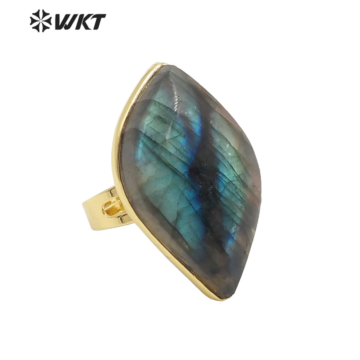 WT-R389 WKT 2024 New Fashion Adjustable Ring Labradorites Stone For Women Girls Wedding Engagement Party ACC Jewelry