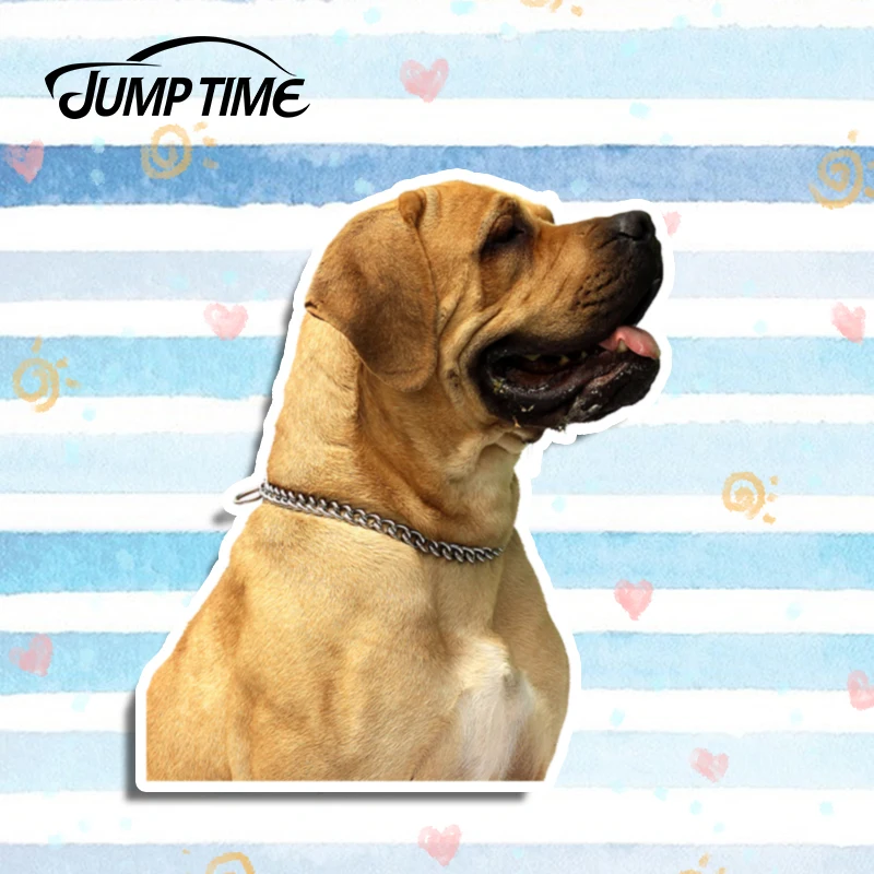 Время скакания 13 см x 11,1 см фотография картинки с надписью «Bad Dog»