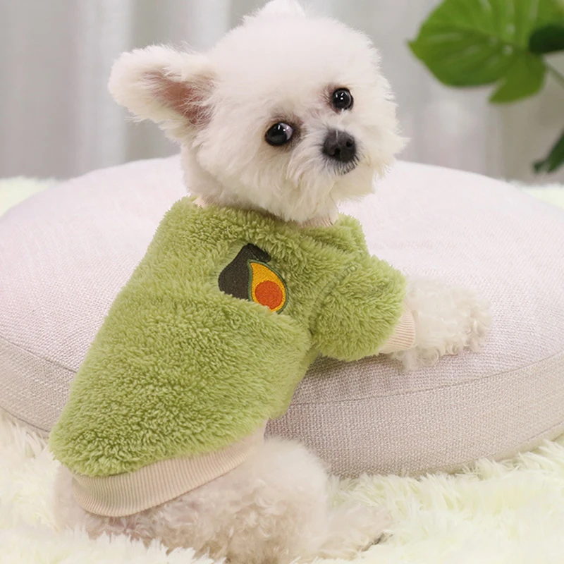 XS-2XL 4Color Avocado Watermelon Grape Orange Print Warm Dog Sweater Cute Yorkshire Terrier Teddy Cat Small Pet Winter Clothes