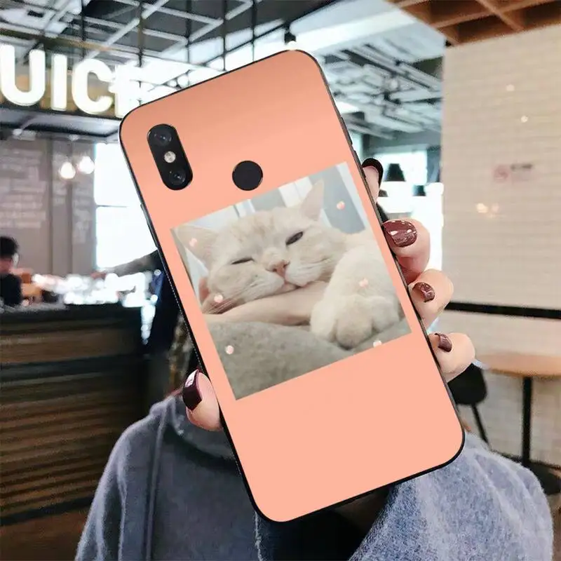 Cute Cat Phone Case for Xiaomi mi 5 6 8 9 10 lite pro SE Mix 2s 3 F1 Max2 3