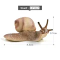 Caracol