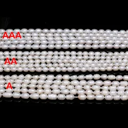 Natural Freshwater Pearl Beads High Quality Rice Shape Punch Loose Beads for DIY Elegant Necklace Bracelet Jewelry Making 6-7MM