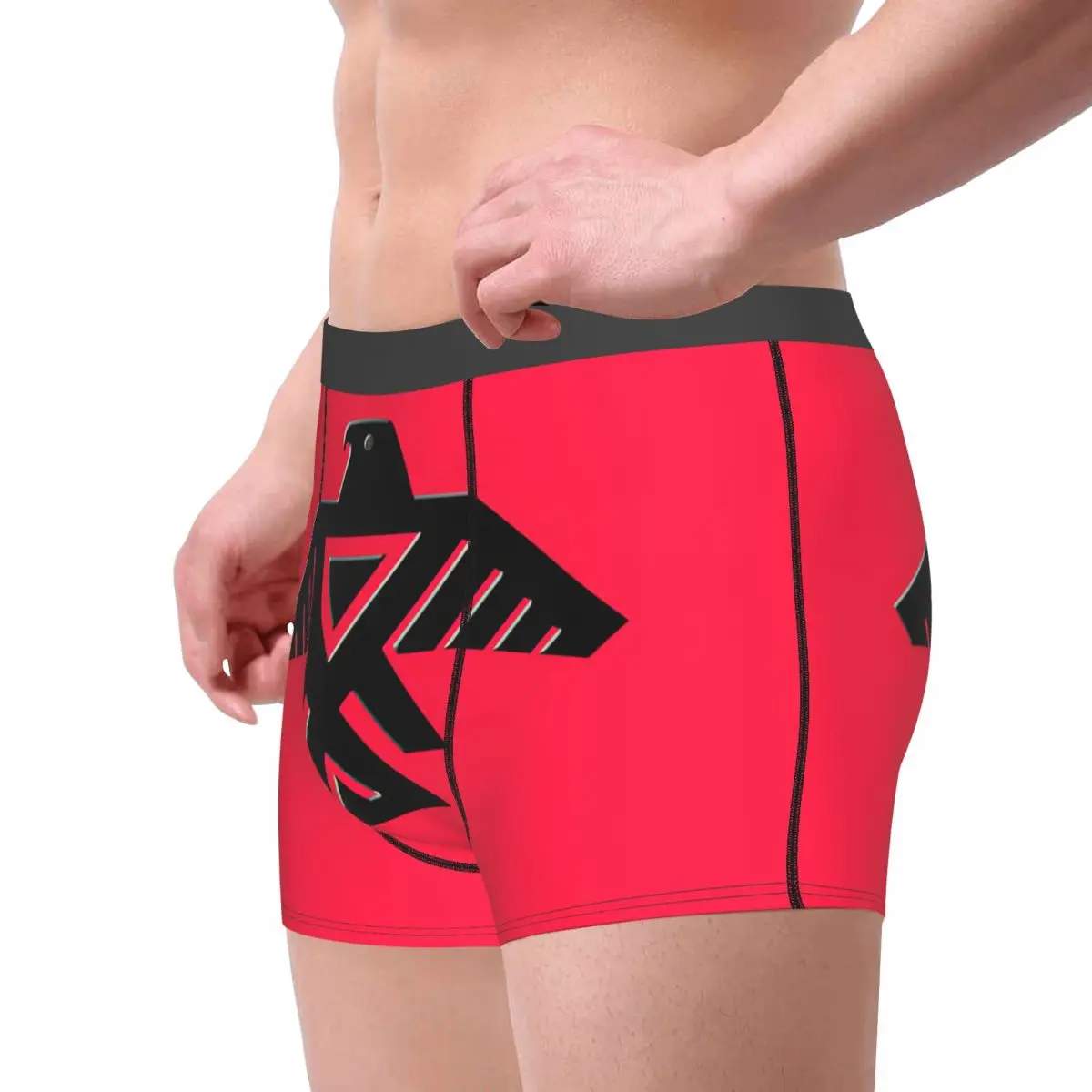 Thunderbird Emblem Of The Anishinaabe People Underpants Breathbale Panties Male Underwear Print Shorts Boxer Briefs