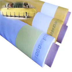 72T/77T/80T/90T/100T/120T/140T/150T/165T Silk Screen Polyester Printing Mesh/Fabric Printing Cloth