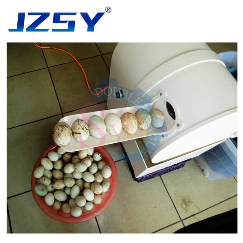 JZSY Low price Industrial egg washer and cleaner/economic duck egg cleaning machine/large stock quail egg washing machine