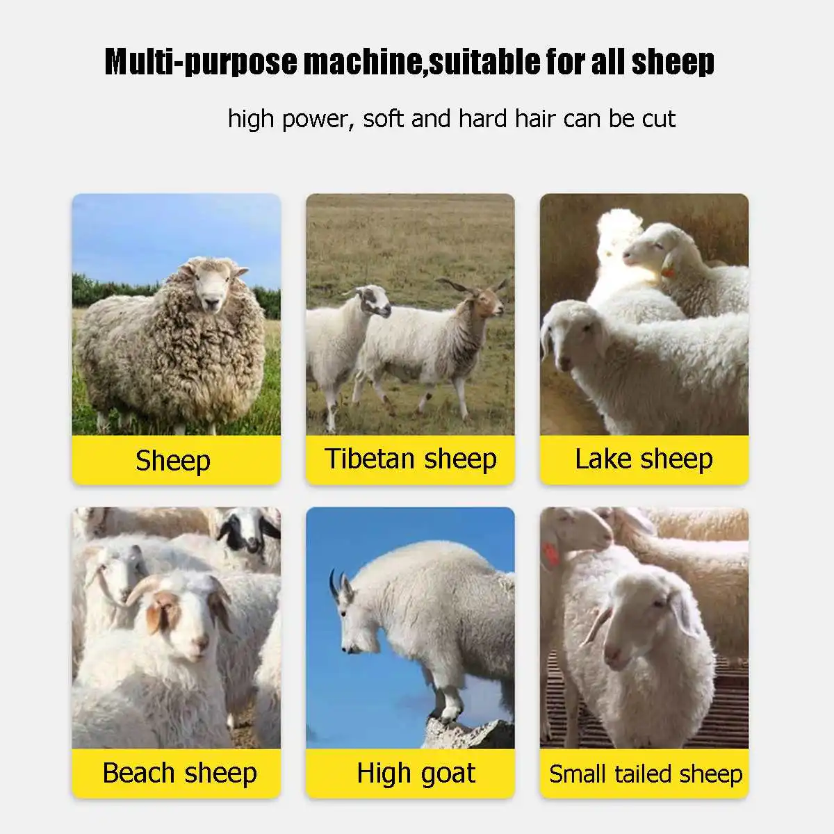 6 speed Electric Sheep Pet Hair Clipper Shearing Kit Shear Wool Cut Goat Pet Animal Shearing Supplies Farm Cut Machine