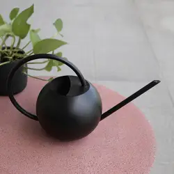 Watering Can Matte Black Color Stainless Steel Pot Long Spout Indoors Home Plant Pot Bottle Watering Meaty Garden Tool