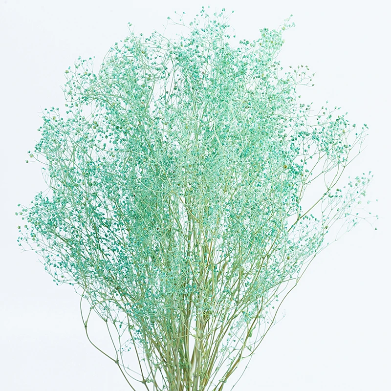 

30g Denisfen Dried Flower Bouquet Natural Plants Blossom Graceful Baby Breath Decorative Flowers for Wedding Decoration NDFH1132