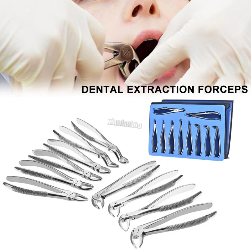 

1Set Stainless Steel Dental Adult Tooth Extraction Plier Forcep Dental Orthodontic Surgical Tool Instrument