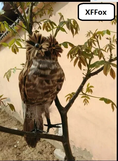 cute simulation owl model foam&feathers new brown owl bird gift about 35cm xf2456