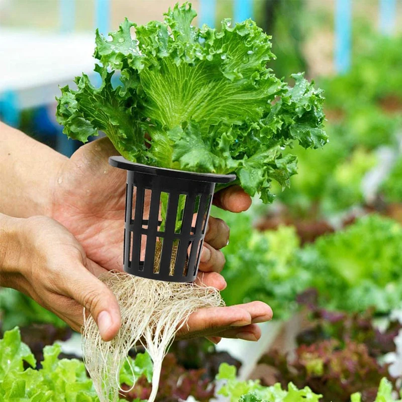 100 paczka 1.77 Cal netto kubki szczelinowe siatki szerokie wargi urządzenie filtrujące netto Pot wiadro kosz dla hydroponika Aquaponics orchidee