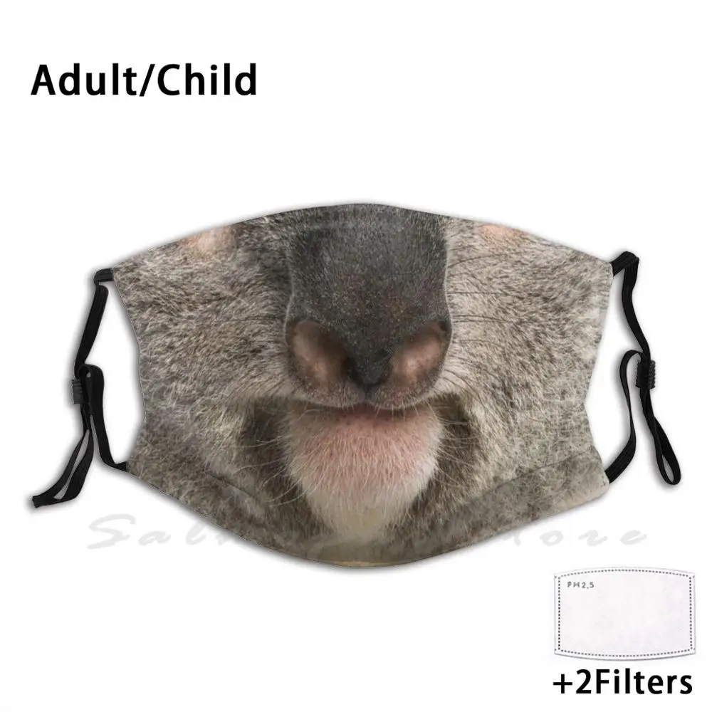 Mask Koala Portrait Face Koala Mom Koala Dad Koala Bear Animal Australia Bear Nature Wildlife Wild Cute Koala Koala Lover