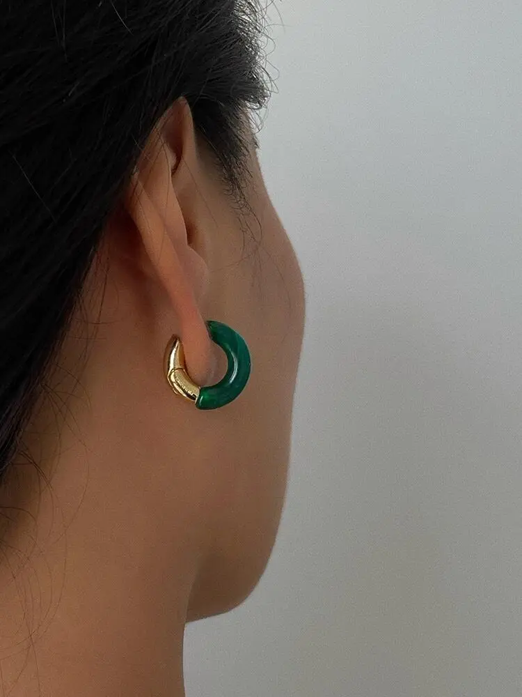 Acrylic Hoop Earrings For Women Green Brown Resin Small Huggie Hoops Daily Jewelry
