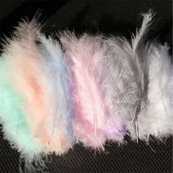 Natural Plumes 50pcs 4-6 Inches 10-15cm Turkey Marabou Feather Plume Fluffy Wedding Dress DIY Jewelry Decor Accessories Feathers