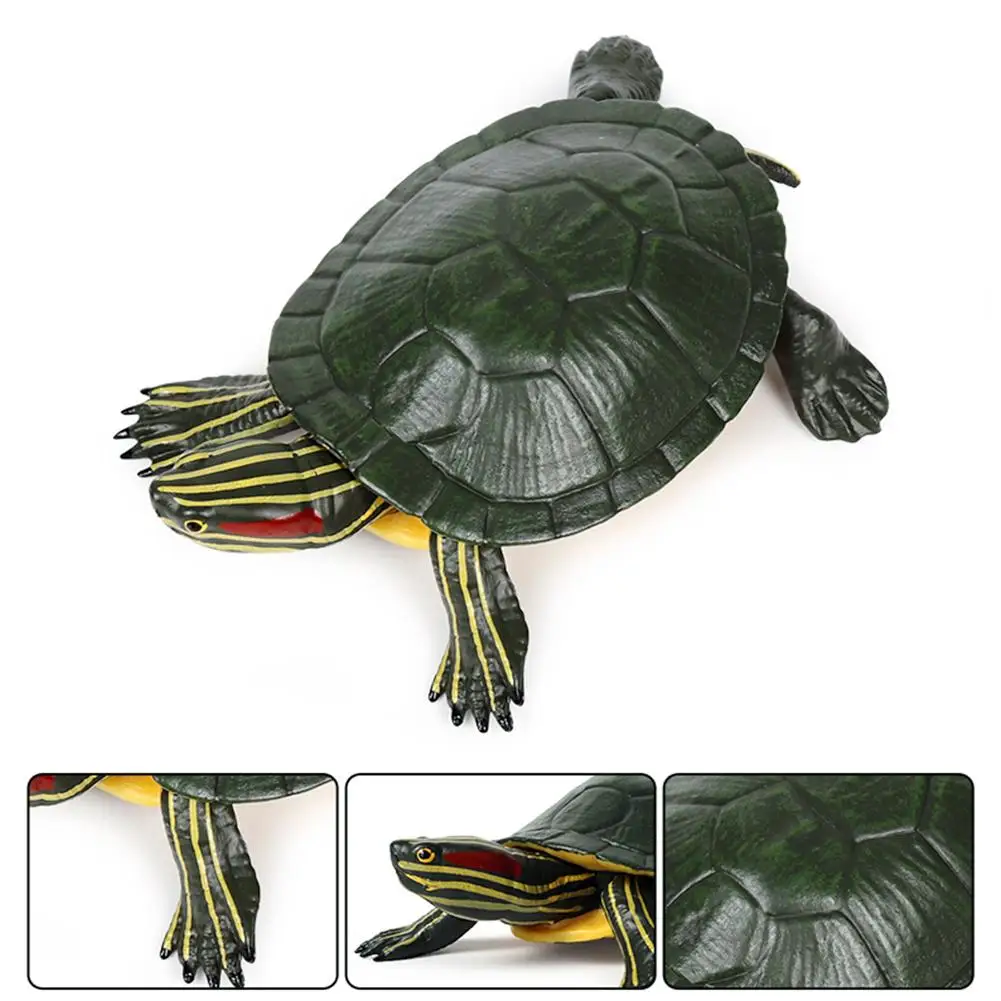 5.5inch Brazilian Red-Eared Slider Turtle Tortoise Animal Toy Action PVC Figure 14cm Turtle Children\'s Educational Toys Gifts